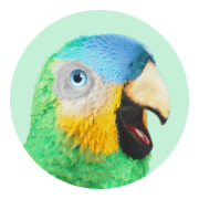 Lendo logo