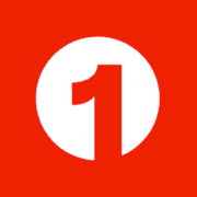 OneCall logo